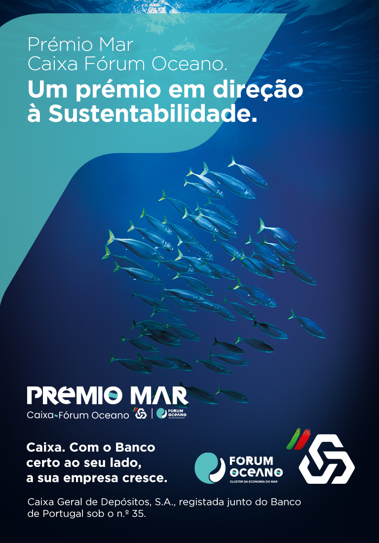 Publicidade
