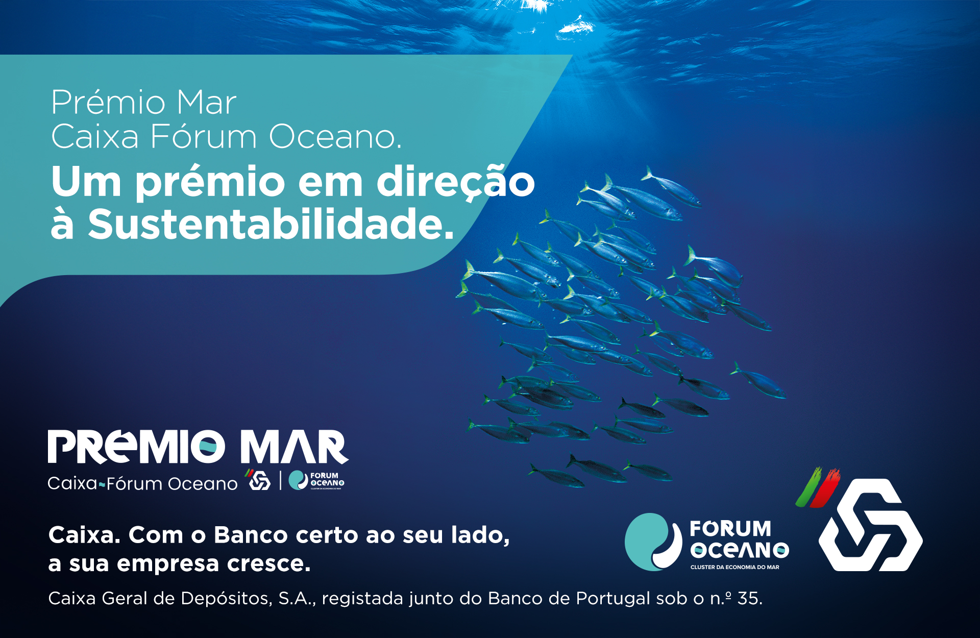 Publicidade