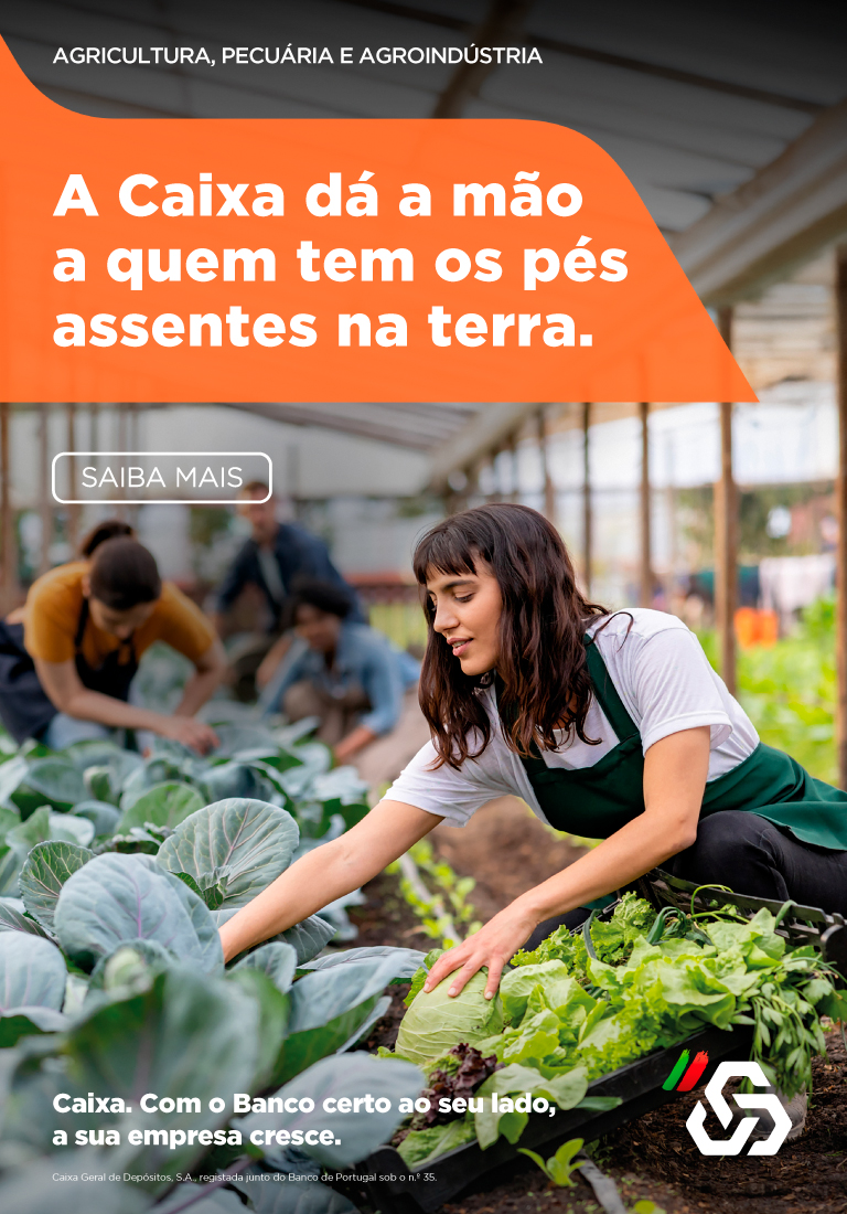 Publicidade