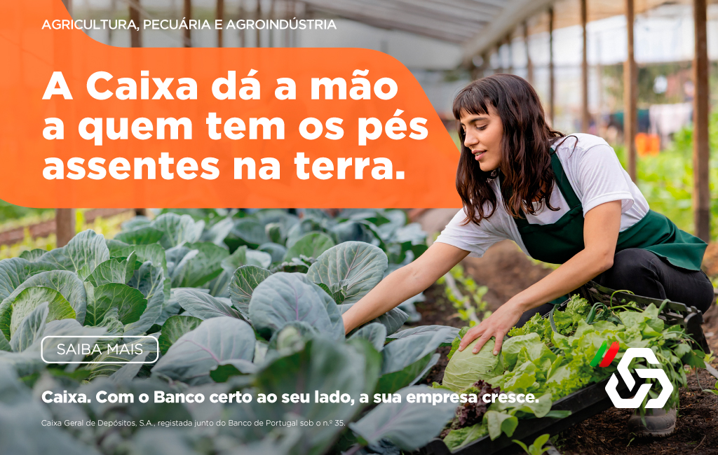 Publicidade