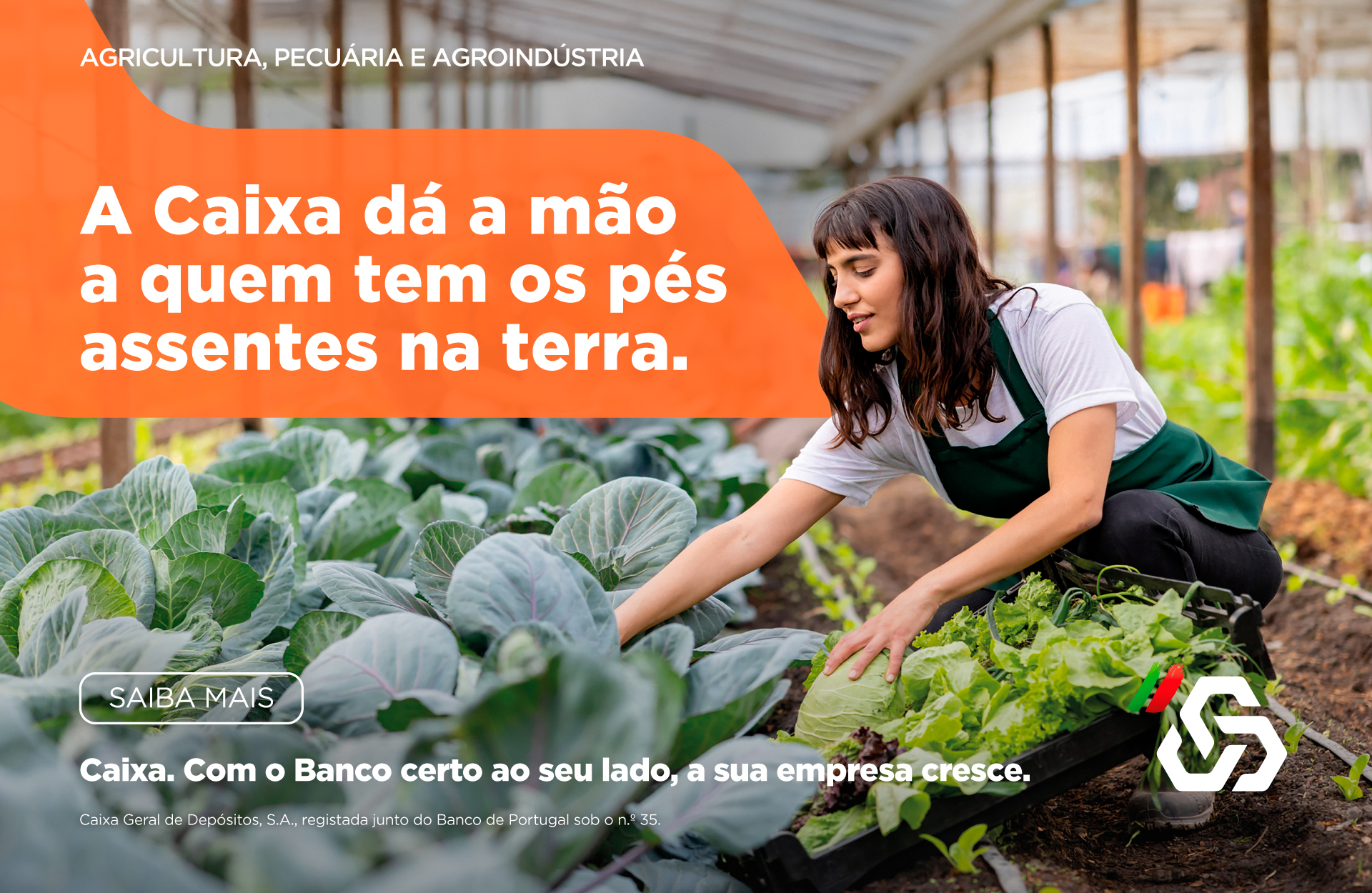 Publicidade