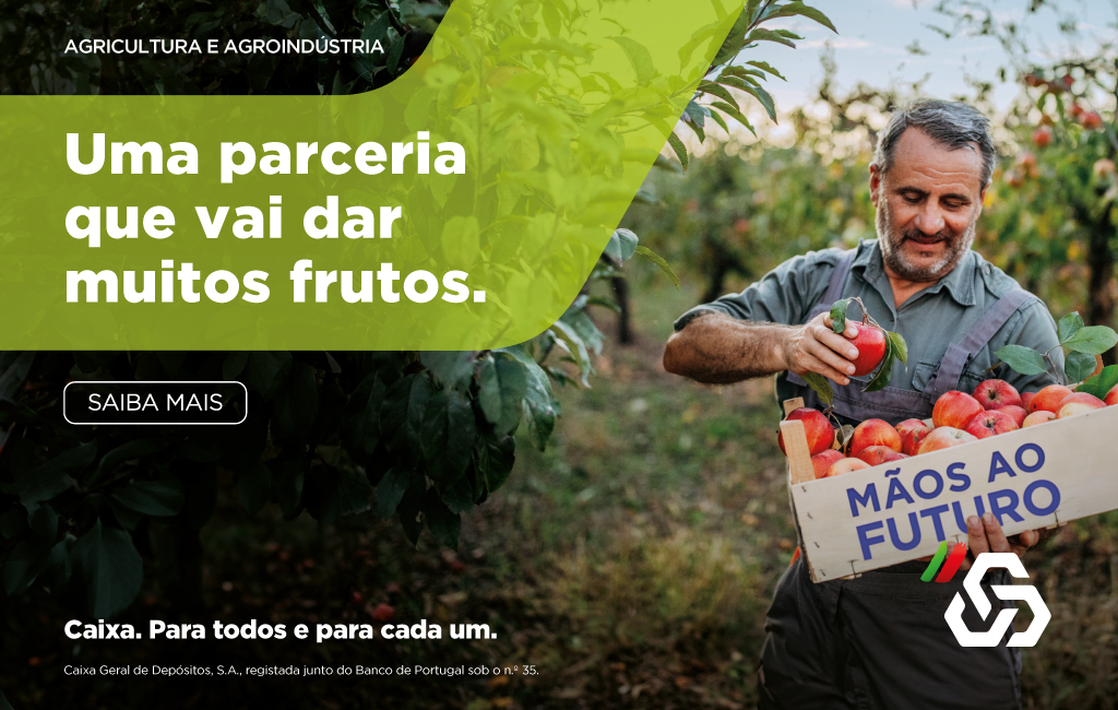 Publicidade