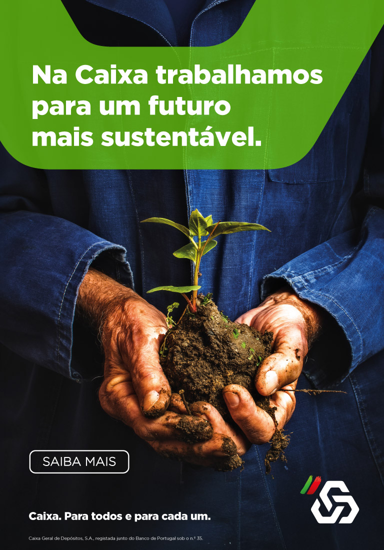 Publicidade