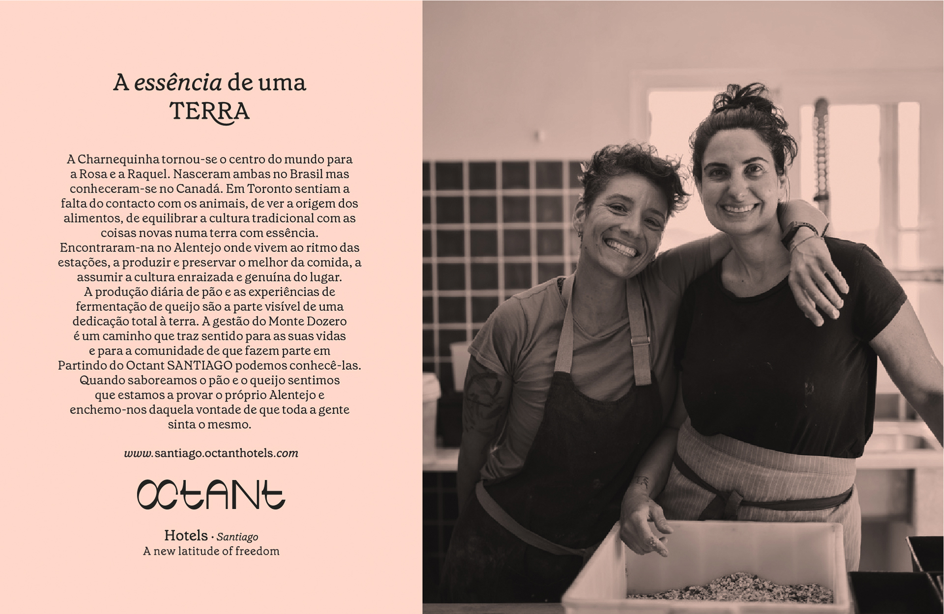 Publicidade