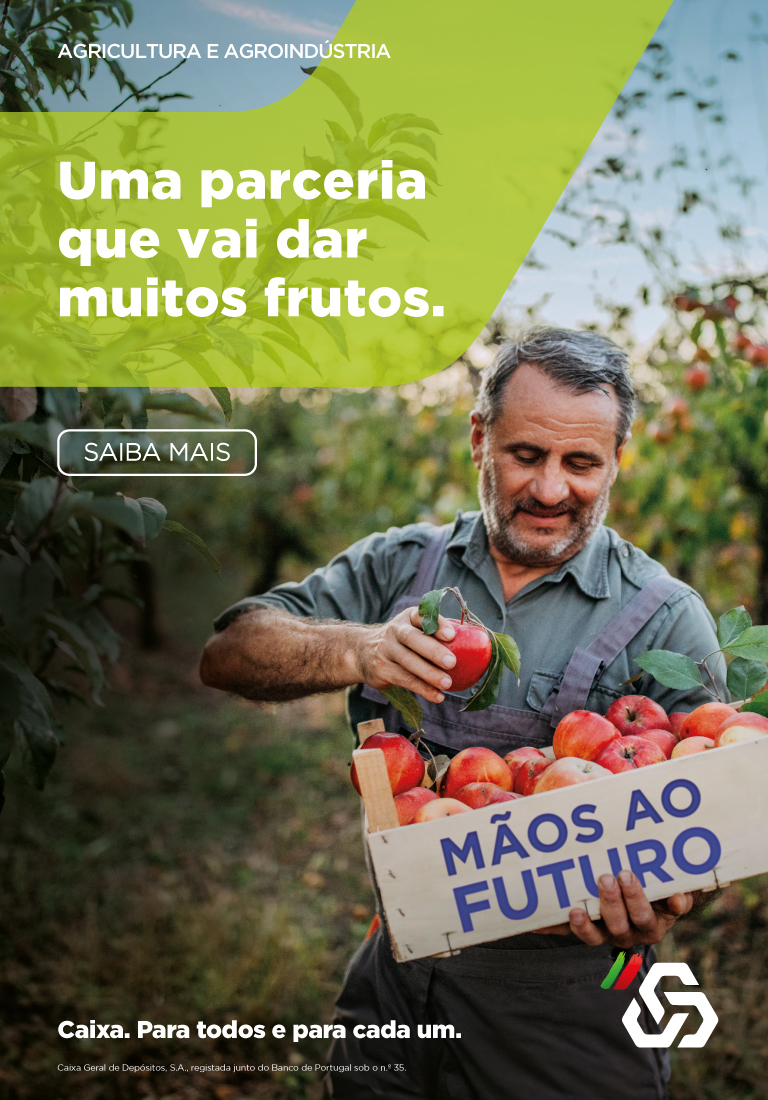 Publicidade
