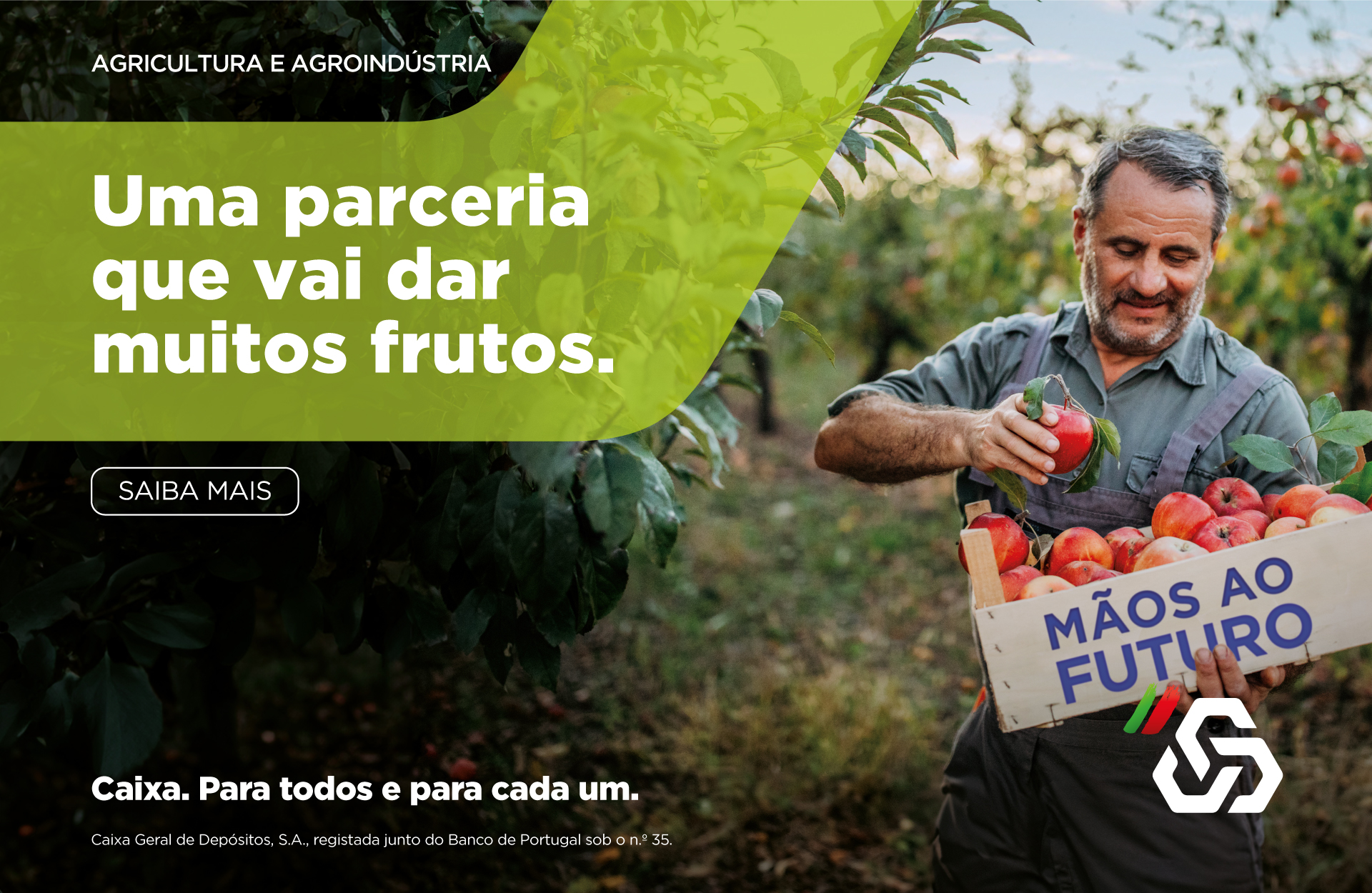 Publicidade
